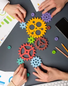 Identyfikacja faz cyklu organizacji